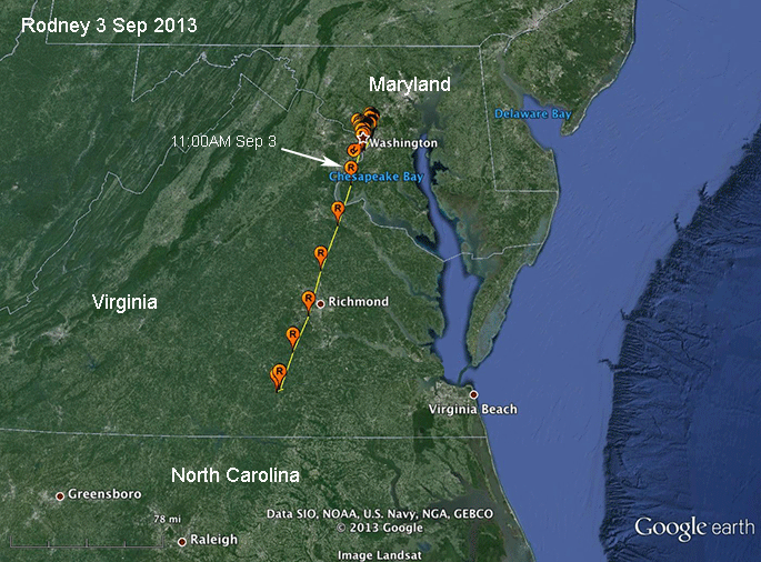 Rodney Map 2013 Juveniles